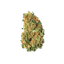 avaay 32/1 AHC Amnesia Haze Cake