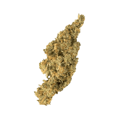 avaay 36/1 SPC Space Cake