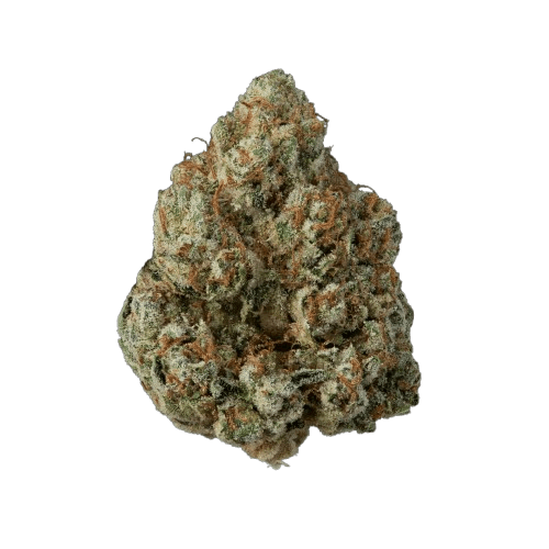 avaay Khalifa 24/1 KK Khalifa Kush