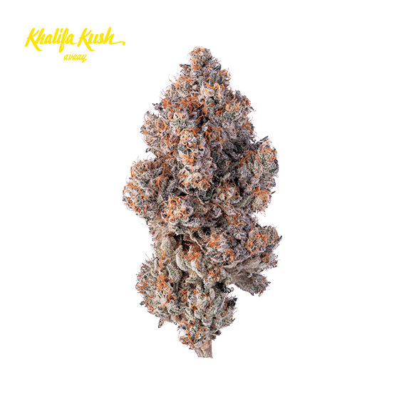 avaay Khalifa 24/1 KM Khalifa Mints