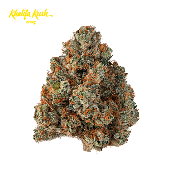 avaay Khalifa 32/1 KK Khalifa Kush