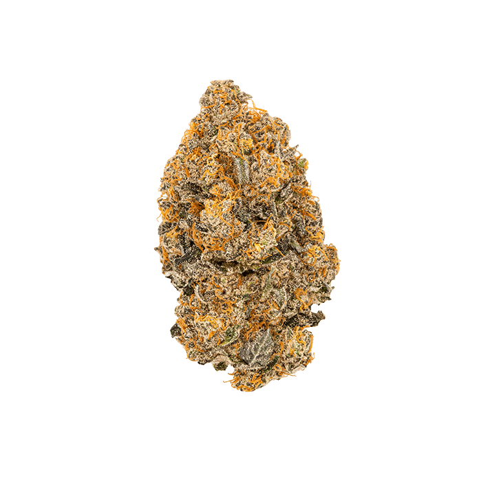 avaay Signature 28/1 HYP Hyperion