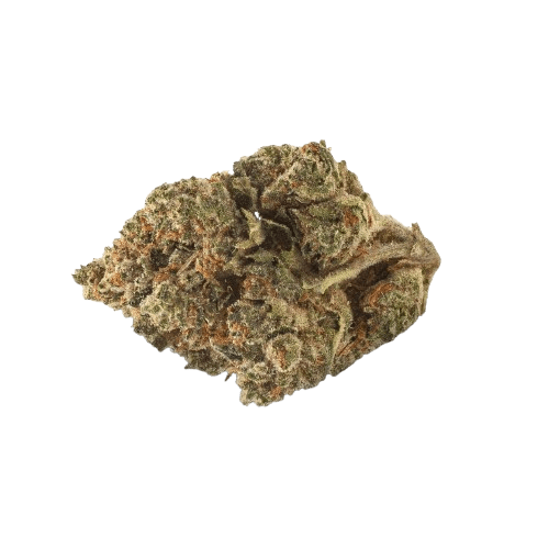 Barongo 26/1 Kali