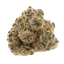 Barongo 26/1 LAK LA KUSH