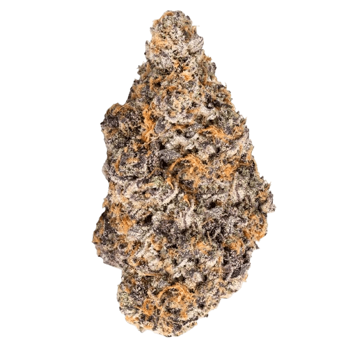 Barongo 28/1 TRD Rainbow Pie