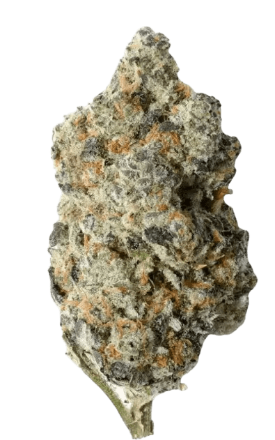 Barongo 30/1 Dynamo Kush Cake