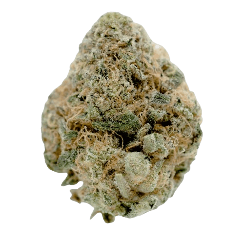 Barongo 30/1 ECC Cheddar Cheese