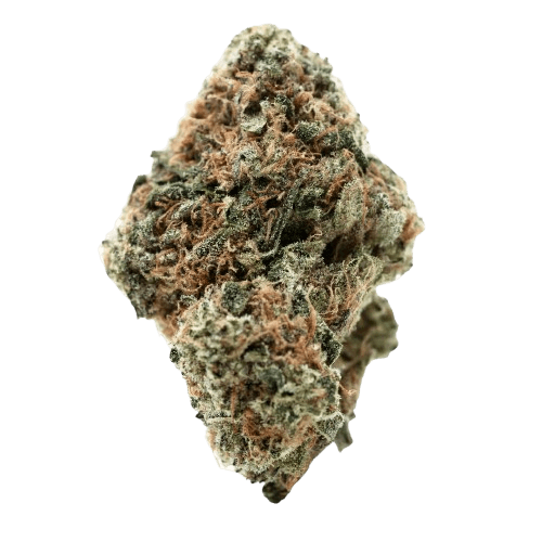 Barongo 30/1 ZP Zesty Parm