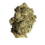 Beacon PK T22 Pink Kush