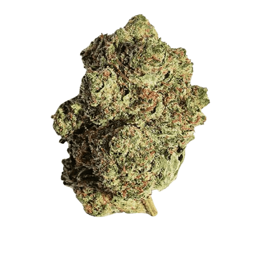 Beacon PK T22 Pink Kush