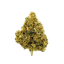 Bedrocan Cannabis Flos 22/1