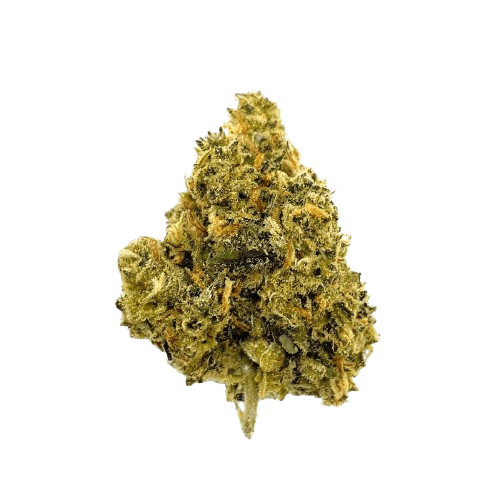Bedrocan Cannabis Flos 22/1