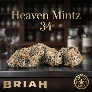 Briah Heaven Mintz 34 Kush Mintz