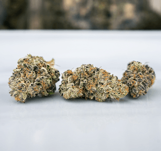 Briah LCP 27 Lemon Cherry Pie