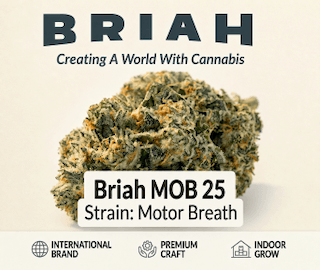 Briah MOB 25 Motor Breath