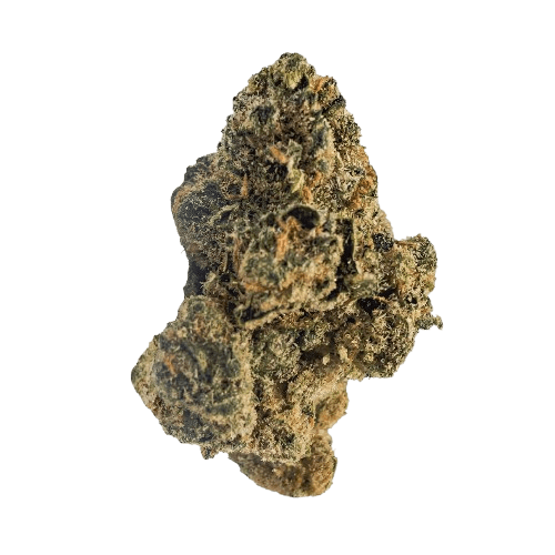 BUUO 23/1 BV Boom Voyage