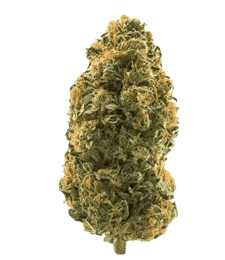 Buuo 26/1 Vapor Engine Fuel Gelato