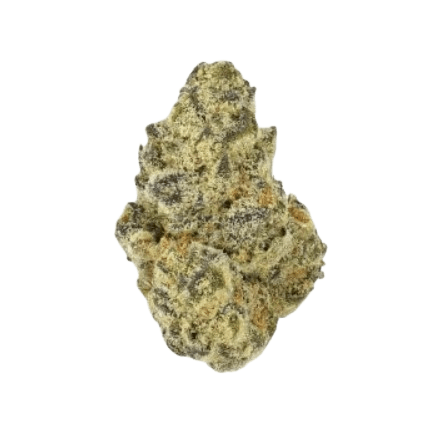 Buuo 28/1 Candydrop Blue Cheese