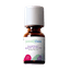 CannabiStada Extrakt THC10/CBD10 DK