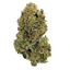 CannGo 26/1 WG Vegas Wedding Cake