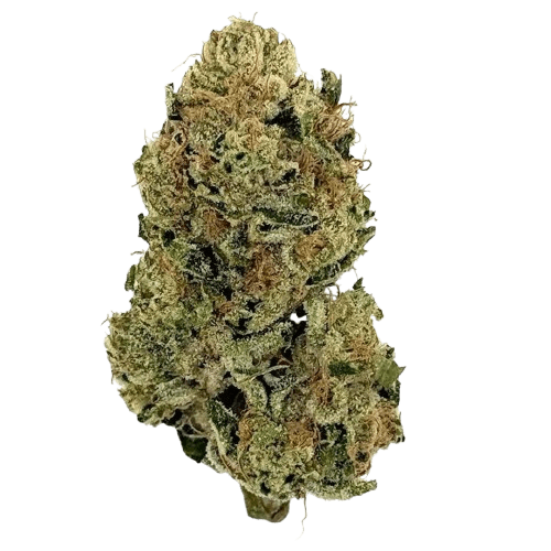 CannGo 26/1 WG Vegas Wedding Cake