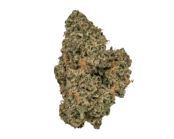 CherryCo 23/01 GOG-K Gelato OG