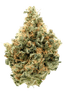 CherryCo THC 25 Sativa Arctic Gorilla