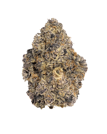 Cookies 2.0 Cereal Milk 26/1 CAN CM