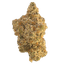 Cresco RFSH 28/1 Lemon Cherry Gelato