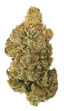 Drapalin 27/1 Full Gas