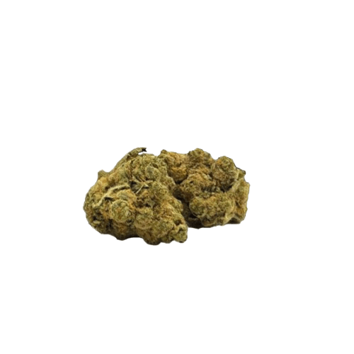 DrWatson 19 Day DF AUS Da Funk