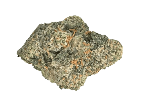 DrWatson 24 LG AUS London Gelatti