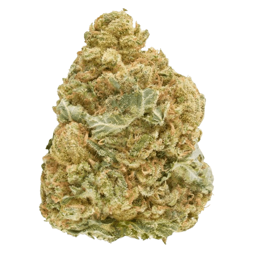 Good Supply T25 MMK Master Mazar Kush