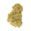 Good Supply THC25 BCR Beach Crasher