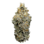 Green Karat CG Cool Grapes