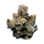Green Karat MG 28/1 Modified Gas