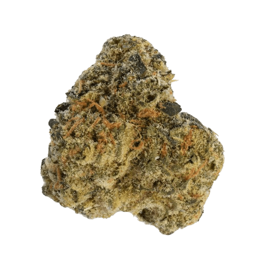 LOT 420 - Greyscales HF 29/1 Hawaiian Faanta