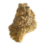 Hi Society WT 27/1 White Truffle