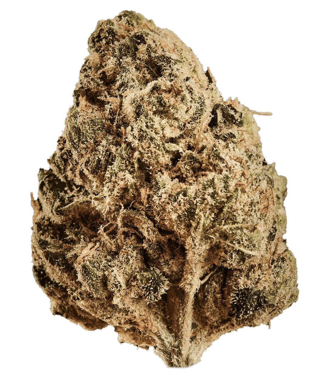 Huala 22/1 CA ALM Alien Mints