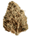 Huala 22/1 CA ALM Alien Mints