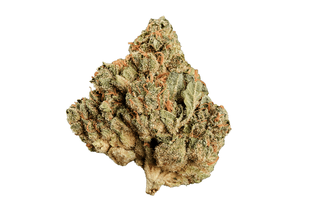 Huala 22/1 CA BTR Black Triangle