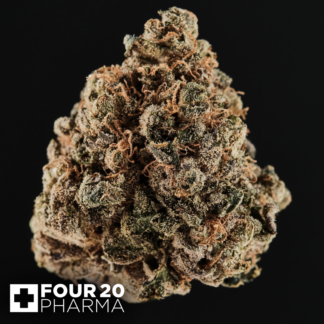 Huala 22/1 CA GRF Grape Face