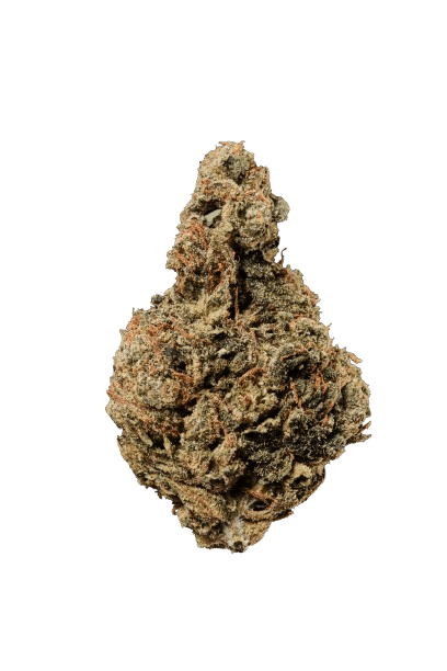 Huala 25/1 CA JFL Jack Flash