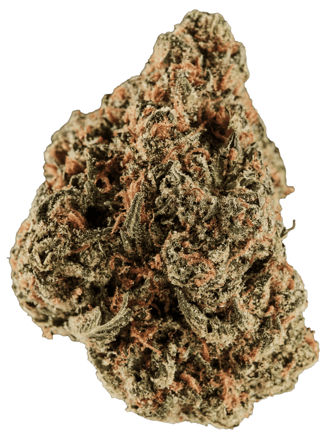 Huala 25/1 UK CIN Cinderella Kush