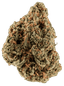 Huala 25/1 UK CIN Cinderella Kush