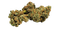IndiMed 20/1 ISS - DE Island Sweet Skunk