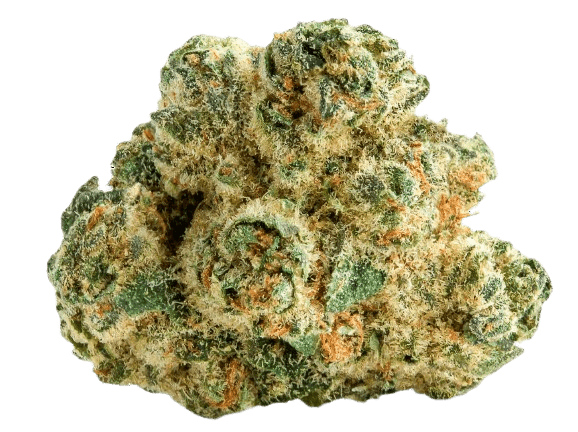 LIT 29/1 MKU Master Kush