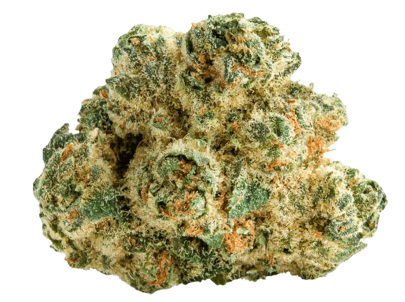 LIT 31/1 MKU Master Kush