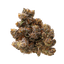 LOT 420 GLT Gelato33