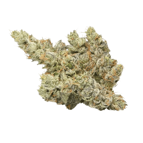 LOT 420 OC Orange Cake
